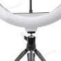 Кільцева лампа 33 см Ring Fill Light з триногою кільцевою лампою для селфі лампа для тик струму (1253-1)