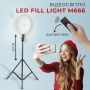 Відеосвітло LED Fill Light M666 для фото- та відеозйомки зі штативом 2.1 метр постійне світло для фото та відео (2630-1)